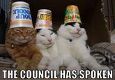 dnos THE COUNCIL HAS SPOKEN