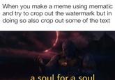 When you make a meme using mematic and try to crop out the watermark but in doing so also crop out some of the text a soul fora soul