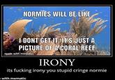 NORMIES WILL BE LIKE I DONT GET ITITS UUST A PICTURE OF A CORAL REE made with mematic IRONY its f------ irony you stupid cringe normie with mematic