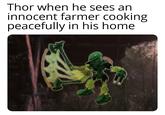 Thor when he sees an innocent farmer cooking peacefully in his home