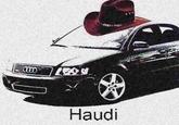 Haudi