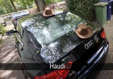 Haudi