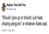 Meghan, Thee Little Pony @Incredible_Meg "Should I give up or should I just keep chasing penguins" or whatever Adele said. 5:06 PM - 23 May 2019