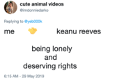 cute animal videos @imdonniedarko Replying to @yeb000k keanu reeves me being lonely and deserving rights 6:15 AM-29 May 2019