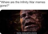 Where are the Infinity War memes gone?" Gone, reduced to atoms