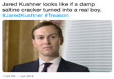 Jared Kushner looks like if a damp saltine cracker turned into a real boy. #JaredKushner #Treason 11:24 PM 1 Jun 2019