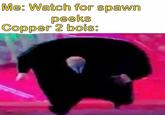 Me: Watch for spawn peeks Copper 2 bois:
