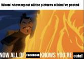 When I show my cat all the pictures of him I've posted KNOWS YOU'RE Cute! NOW ALL OF Facebook|