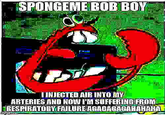 SPONGEME BOB BOY IINIECTEDAIR INTO MY ARTERIES AND NOW I'M SUFFERING FROML FRESPIRATORY FALUREAGAGAGAGAHAHANAL