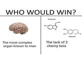 WHO WOULD WIN? Serotonin NH2 HO Но но Dopamine The lack of 2 The most complex organ known to man chemy bois