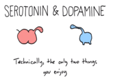 SEROTONIN & DDPAMINE Technically, the only two things you enjoy