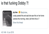 is that f------ Dobby ?! jey bee @jadynbee_ a lady posted this and said she saw this on her home camera this morning. what y'all think this is? Show this thread 0:10 4:01 AM 8 Jun 2019