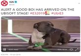 IGN @IGN ALERT A GOOD BOI HAS ARRIVED ON THE UBISOFT STAGE! #E320199 #UbiE3 432K views 0:01/0:14 4:38 PM - 10 Jun 2019