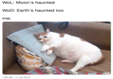 WoL: Moon's haunted WoD: Earth's haunted too me: LOVE 1:36 AM -11 Jun 2019