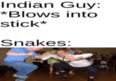 Indian Guy: *Blows into stick* Snakes: