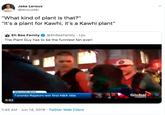 Jake Leroux @lerouxski "What kind of plant is that?" "It's a plant for Kawhi, it's a Kawhi plant" Eh Bee Family @EhBeeFamily 12h The Plant Guy has to be the funniest fan ever! BREAKING NEWS Global Toronto Raptors win first NBA title TORONTO 0:52 1:45 AM Jun 14, 2019 Twitter Web Client