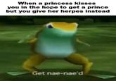 When a princess kisses you in the hope to get a prince but you give her herpes instead Get nae-nae'd