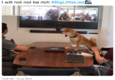 I will not not be rich #BigLittleLies| vOYNm 10:26 PM 16 Jun 2019