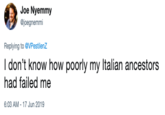 Joe Nyemmy @joegnemmi Replying to @VPestilenZ I don't know how poorly my Italian ancestors had failed me 6:03 AM-17 Jun 2019