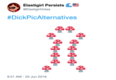 Elastigirl Persists C @ElastigirlVotes #DickPicAlternatives 9:51 AM - 20 Jun 2019