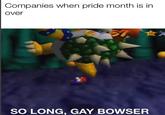 Companies when pride month is in over SO LONG, GAY BOWSER