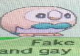 Fake and gay