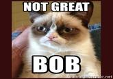 NOT GREAT BOB memegenerator.net