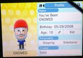 R Profile L Name You've Been GNOMED Birthday: 05/29/2008 Kid Age: 10 Personality Entertainer Outgoing Creator Gold GNOMED