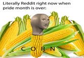 C O R N Literally Reddit right now when pride month is over: wwww OR N Why do i see corn in new so much