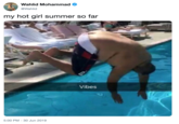 Wahlid Mohammad @Wahlid my hot girl summer so far Vibes 5:00 PM 30 Jun 2019