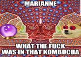MARIANNE WHAT THE F--- WAS IN THAT KOMBUCHA imgflip.com