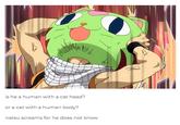 is he a human with a cat head? or a cat with a human body? natsu screams for he does not know