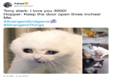 Fahad @KhannVict434 Tony stark: I love you 3000! Hopper: Keep the door open three inches! Ме: #AvengersEndgame #Strangers Things LOVE 6:15 PM 5 Jul 2019