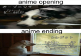 anime opening オープニング アニメ 犬 ナイフ クレイジー 猫 翻訳しない」 anime ending クレジット わからない。 地に何か。! もうーつ よく詰め @shitposts feos 何か 000ロロロロロロ0opp Oo0oppoogopp opo000000