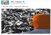 Mr. Clean @RealMrClean I wish for world clean.