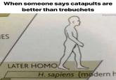 When someone says catapults are better than trebuchets drgrayfang ES LATER H--- H.sapiens (modern h