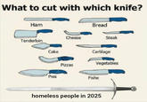 What to cut with which knife? Bread Ham Cheese Steak Tenderloin Cake Cartilage Vegetables Pizzas Pies Fishe homeless people in 2025