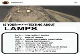 "Moth lamp":/memes/moth-lamp meme found in a gallery of "National Moth Week Memes":https://cheezburger.com/8862981/its-national-moth-week-so-here-are-some-memes-to-light-up-your-day on I Can Has Cheezburger.