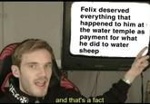 Felix deserved everything that happened to him at the water temple as payment for what he did to water sheep and that's a fact