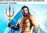 "Aquaman":/memes/subcultures/aquaman meme found in a gallery of memes about "storming the Bermuda Triangle":https://cheezburger.com/8886021/get-ready-to-storm-the-bermuda-triangle-because-apparently-people-are-already-over-area-51 on Memebase.