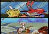 Pilot the EVA Spongebob me-boy Or Mr. Squidward will