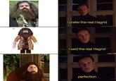 I prefer the real Hagrid I said the real Hagrid perfection I