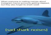 When everyone is making memes about Instagram meme accounts getting clapped, but they also forget its shark week [sad shark noises]
