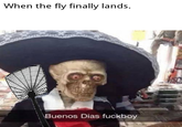 When the fly finally lands. \Buenos Dias f------