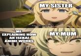 MY SISTER You get used toit. ME EXPLAINING HOW AN ISEKAI ANIME WORKS MY MUM imgflip.com