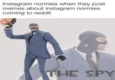 Instagram normies when they post memes about instagram normies coming to reddit THE SPY