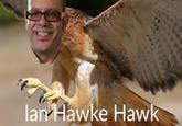 lan Hawke Hawk