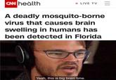 |CAN heàlth LIVE TV A deadly mosquito-borne virus that causes brain swelling in humans has been detected in Florida Yeah, this is big brain time.