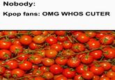 Nobody: Kpop fans: OMG WHOS CUTER 123R 123RF T2ERE