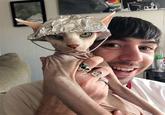 This "cat":/memes/subcultures/cats doesn't look too thrilled. Found in a gallery of "Pet Owners Are Creating Tinfoil Hats To Protect Their Pets":https://cheezburger.com/8923653/with-the-area-51-raid-approaching-pet-owners-are-creating-tinfoil-hats-to-protect-their-pets-from-5g on I Can Has Cheezburger.